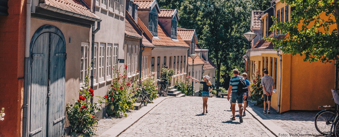Odense in Dänemark