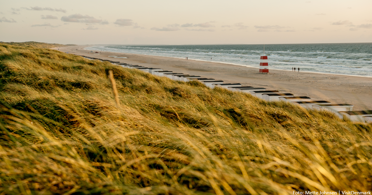 Loekken Beach in North Jutland.