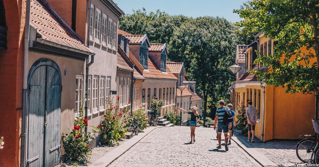Odense auf der Insel Fünen