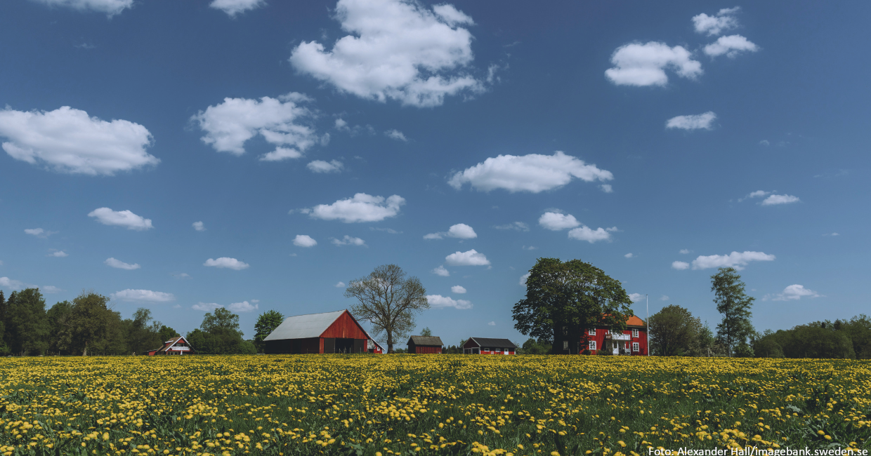Schwedenreise für Einsteiger