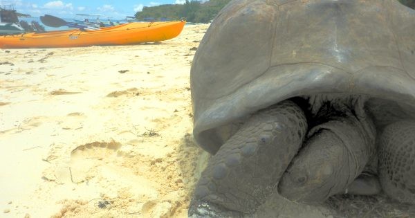 Kajak auf den Seychellen Kajakfehren  auf den Seychellen