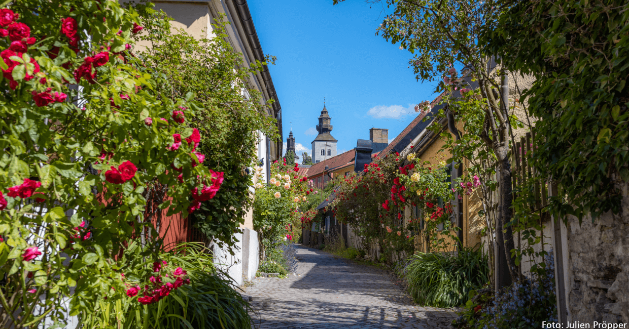 Gotland mit der Kamera entdecken