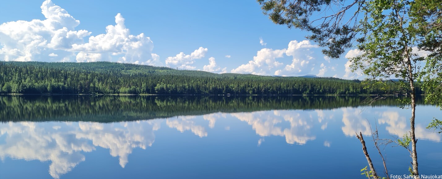 Spiegelglatter See in Schweden